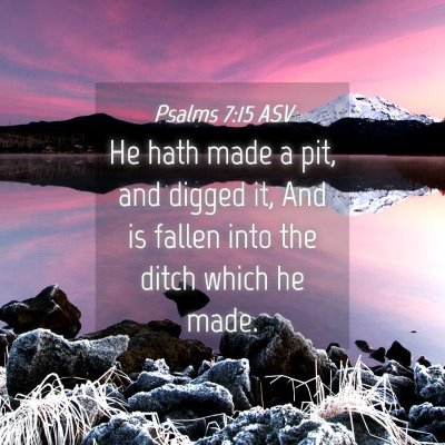 Picture 04 - Psalms 7:15 ASV - He hath made a pit, and digged it, And is fallen - Bible Verse Picture