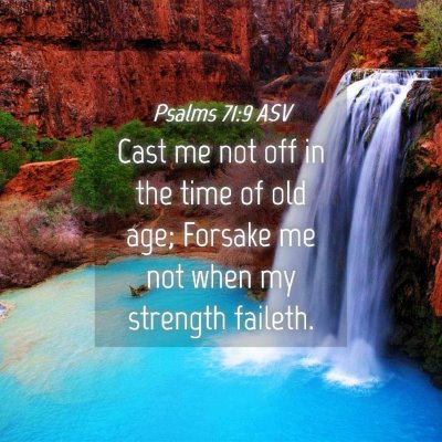 Picture 04 - Psalms 71:9 ASV - Cast me not off in the time of old age; Forsake - Bible Verse Picture