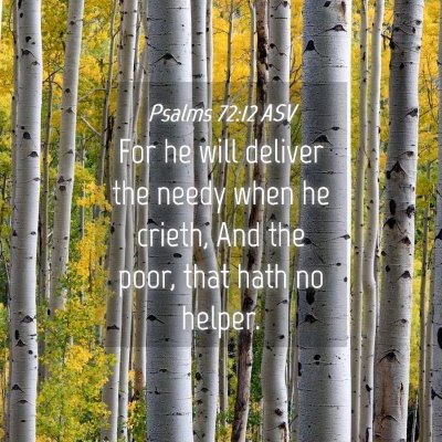 Picture 04 - Psalms 72:12 ASV - For he will deliver the needy when he crieth, And - Bible Verse Picture