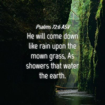 Picture 04 - Psalms 72:6 ASV - He will come down like rain upon the mown grass, - Bible Verse Picture