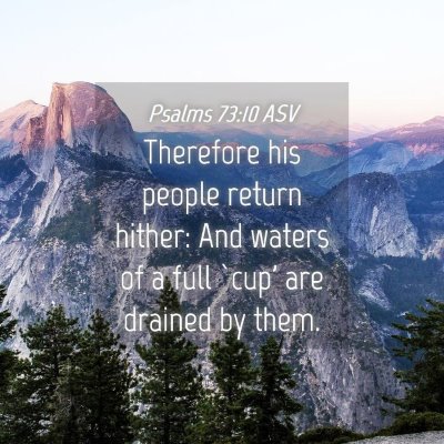 Picture 04 - Psalms 73:10 ASV - Therefore his people return hither: And waters of - Bible Verse Picture