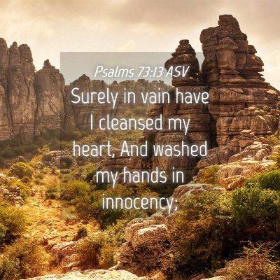 Picture 04 - Psalms 73:13 ASV - Surely in vain have I cleansed my heart, And - Bible Verse Picture
