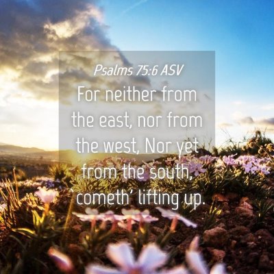 Picture 04 - Psalms 75:6 ASV - For neither from the east, nor from the west, Nor - Bible Verse Picture