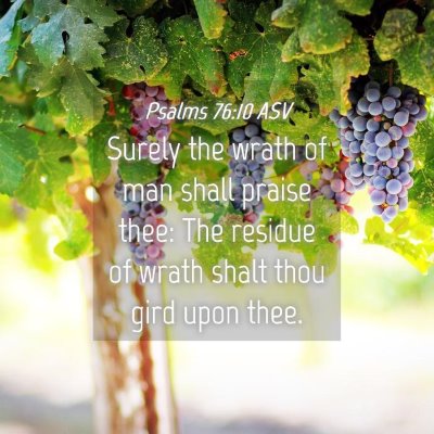 Picture 04 - Psalms 76:10 ASV - Surely the wrath of man shall praise thee: The - Bible Verse Picture