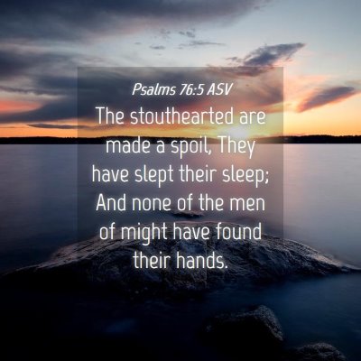 Picture 04 - Psalms 76:5 ASV - The stouthearted are made a spoil, They have - Bible Verse Picture