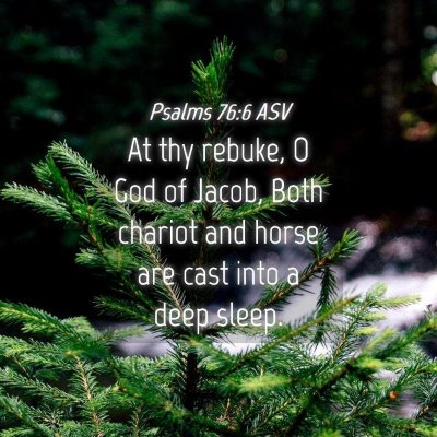 Picture 04 - Psalms 76:6 ASV - At thy rebuke, O God of Jacob, Both chariot and - Bible Verse Picture