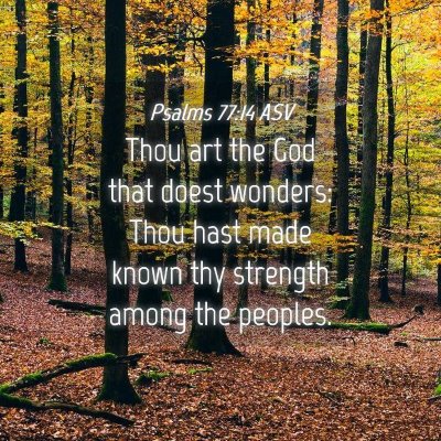 Picture 04 - Psalms 77:14 ASV - Thou art the God that doest wonders: Thou hast - Bible Verse Picture