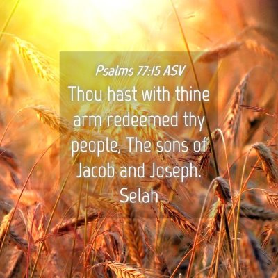 Picture 04 - Psalms 77:15 ASV - Thou hast with thine arm redeemed thy people, The - Bible Verse Picture