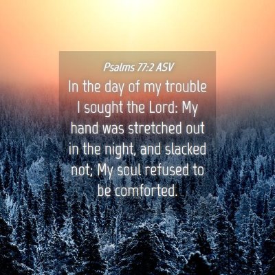 Picture 04 - Psalms 77:2 ASV - In the day of my trouble I sought the Lord: My - Bible Verse Picture