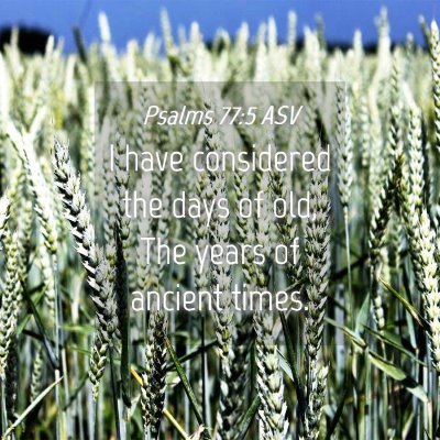 Picture 04 - Psalms 77:5 ASV - I have considered the days of old, The years of - Bible Verse Picture