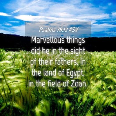 Picture 04 - Psalms 78:12 ASV - Marvellous things did he in the sight of their - Bible Verse Picture