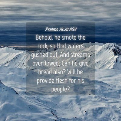 Picture 04 - Psalms 78:20 ASV - Behold, he smote the rock, so that waters gushed - Bible Verse Picture