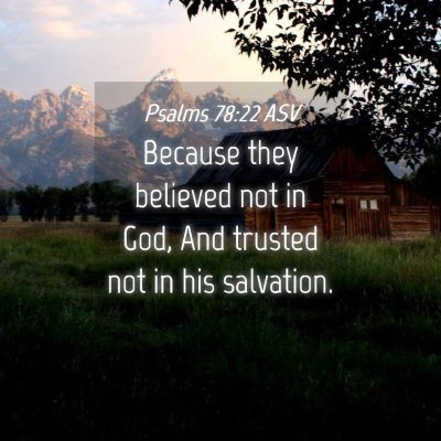 Picture 04 - Psalms 78:22 ASV - Because they believed not in God, And trusted not - Bible Verse Picture