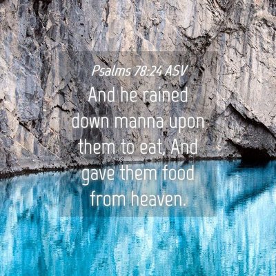 Picture 04 - Psalms 78:24 ASV - And he rained down manna upon them to eat, And - Bible Verse Picture