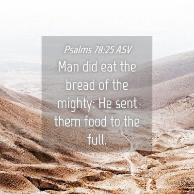 Picture 04 - Psalms 78:25 ASV - Man did eat the bread of the mighty: He sent them - Bible Verse Picture