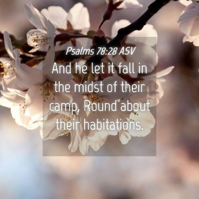 Picture 04 - Psalms 78:28 ASV - And he let it fall in the midst of their camp, - Bible Verse Picture