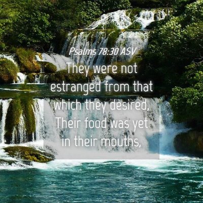 Picture 04 - Psalms 78:30 ASV - They were not estranged from that which they - Bible Verse Picture