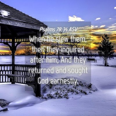 Picture 04 - Psalms 78:34 ASV - When he slew them, then they inquired after him; - Bible Verse Picture