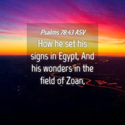 Picture 04 - Psalms 78:43 ASV - How he set his signs in Egypt, And his wonders in - Bible Verse Picture