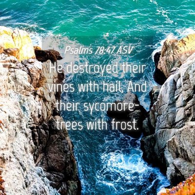 Picture 04 - Psalms 78:47 ASV - He destroyed their vines with hail, And their - Bible Verse Picture