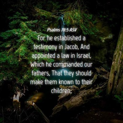 Picture 04 - Psalms 78:5 ASV - For he established a testimony in Jacob, And - Bible Verse Picture
