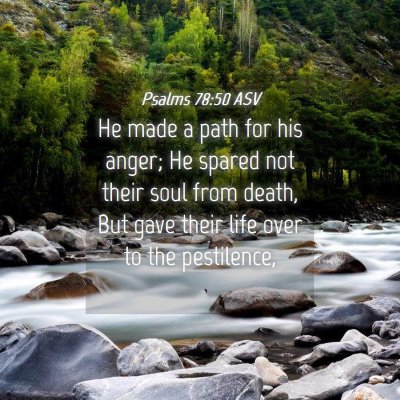 Picture 04 - Psalms 78:50 ASV - He made a path for his anger; He spared not their - Bible Verse Picture