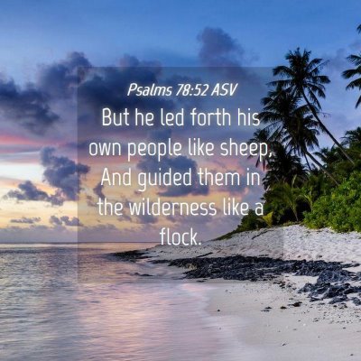 Picture 04 - Psalms 78:52 ASV - But he led forth his own people like sheep, And - Bible Verse Picture