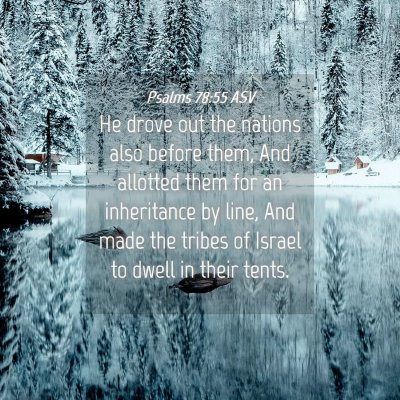 Picture 04 - Psalms 78:55 ASV - He drove out the nations also before them, And - Bible Verse Picture