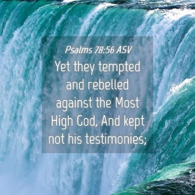Picture 04 - Psalms 78:56 ASV - Yet they tempted and rebelled against the Most - Bible Verse Picture