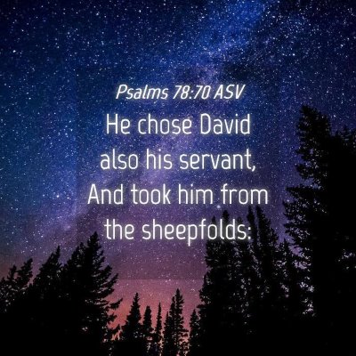 Picture 04 - Psalms 78:70 ASV - He chose David also his servant, And took him - Bible Verse Picture