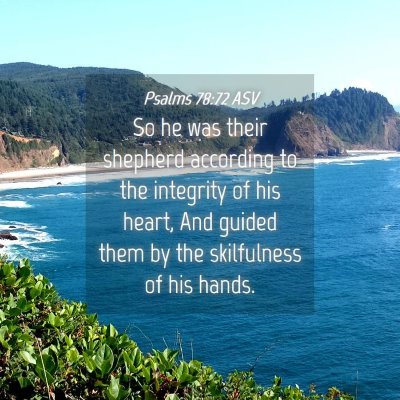Picture 04 - Psalms 78:72 ASV - So he was their shepherd according to the - Bible Verse Picture