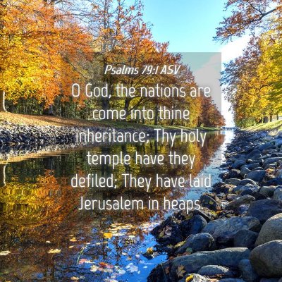 Picture 04 - Psalms 79:1 ASV - O God, the nations are come into thine - Bible Verse Picture