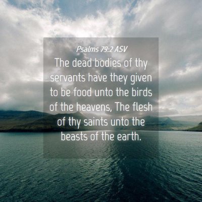 Picture 04 - Psalms 79:2 ASV - The dead bodies of thy servants have they given - Bible Verse Picture