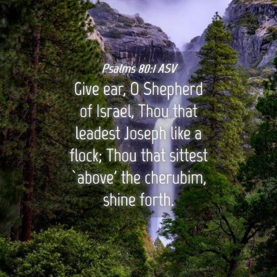 Picture 04 - Psalms 80:1 ASV - Give ear, O Shepherd of Israel, Thou that leadest - Bible Verse Picture