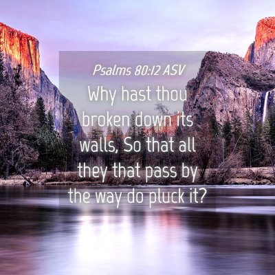 Picture 04 - Psalms 80:12 ASV - Why hast thou broken down its walls, So that all - Bible Verse Picture