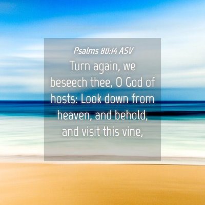 Picture 04 - Psalms 80:14 ASV - Turn again, we beseech thee, O God of hosts: Look - Bible Verse Picture