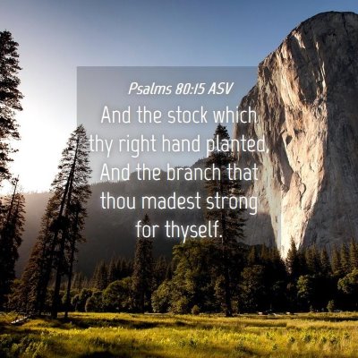 Picture 04 - Psalms 80:15 ASV - And the stock which thy right hand planted, And - Bible Verse Picture