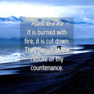Picture 04 - Psalms 80:16 ASV - It is burned with fire, it is cut down: They - Bible Verse Picture