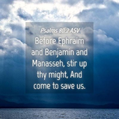 Picture 04 - Psalms 80:2 ASV - Before Ephraim and Benjamin and Manasseh, stir up - Bible Verse Picture