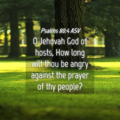 Picture 04 - Psalms 80:4 ASV - O Jehovah God of hosts, How long wilt thou be - Bible Verse Picture