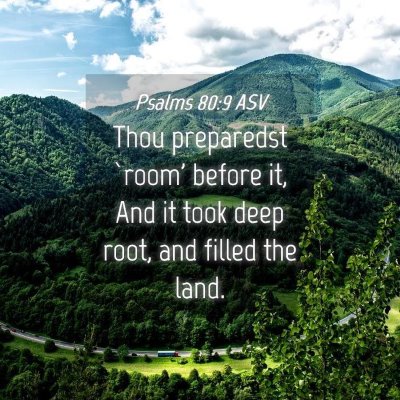 Picture 04 - Psalms 80:9 ASV - Thou preparedst `room' before it, And it took - Bible Verse Picture