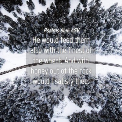 Picture 04 - Psalms 81:16 ASV - He would feed them also with the finest of the - Bible Verse Picture