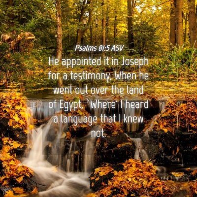 Picture 04 - Psalms 81:5 ASV - He appointed it in Joseph for a testimony, When - Bible Verse Picture