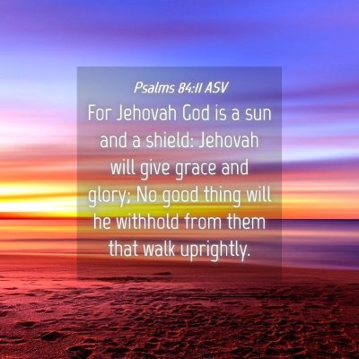 Picture 04 - Psalms 84:11 ASV - For Jehovah God is a sun and a shield: Jehovah - Bible Verse Picture