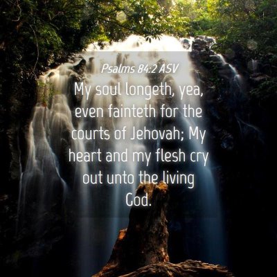 Picture 04 - Psalms 84:2 ASV - My soul longeth, yea, even fainteth for the - Bible Verse Picture