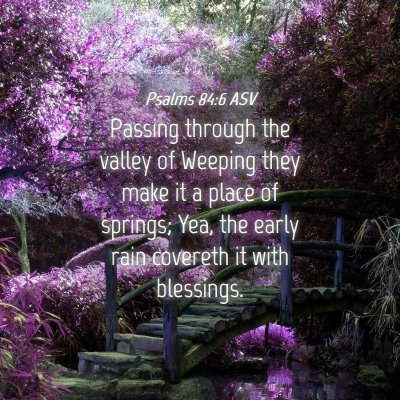 Picture 04 - Psalms 84:6 ASV - Passing through the valley of Weeping they make - Bible Verse Picture