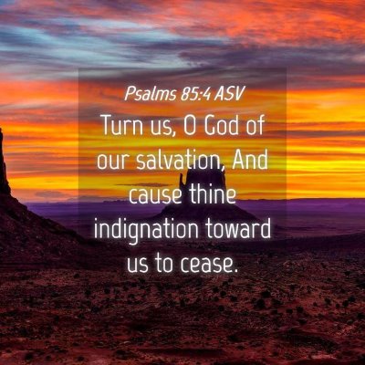 Picture 04 - Psalms 85:4 ASV - Turn us, O God of our salvation, And cause thine - Bible Verse Picture