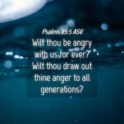 Picture 04 - Psalms 85:5 ASV - Wilt thou be angry with us for ever? Wilt thou - Bible Verse Picture