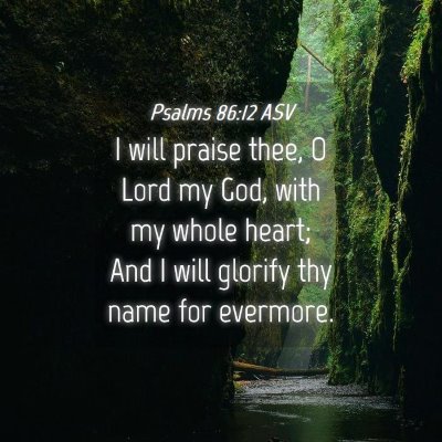 Picture 04 - Psalms 86:12 ASV - I will praise thee, O Lord my God, with my whole - Bible Verse Picture