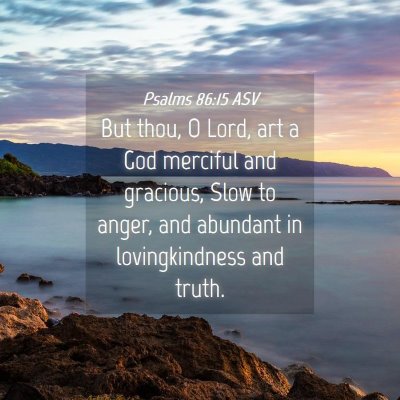 Picture 04 - Psalms 86:15 ASV - But thou, O Lord, art a God merciful and - Bible Verse Picture